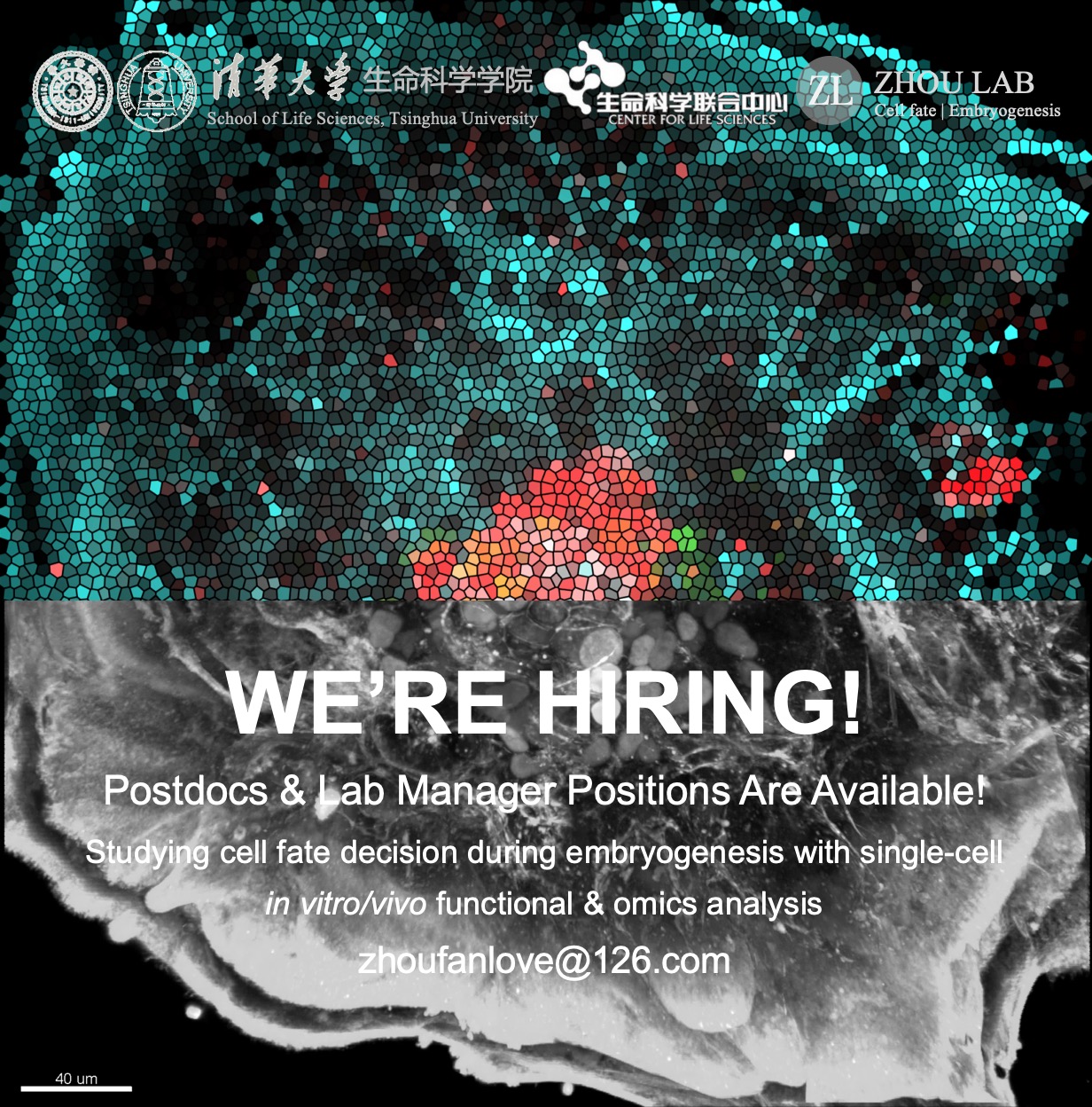 Come on join the Zhou Lab at Tsinghua – Fan Zhou's Blog Site