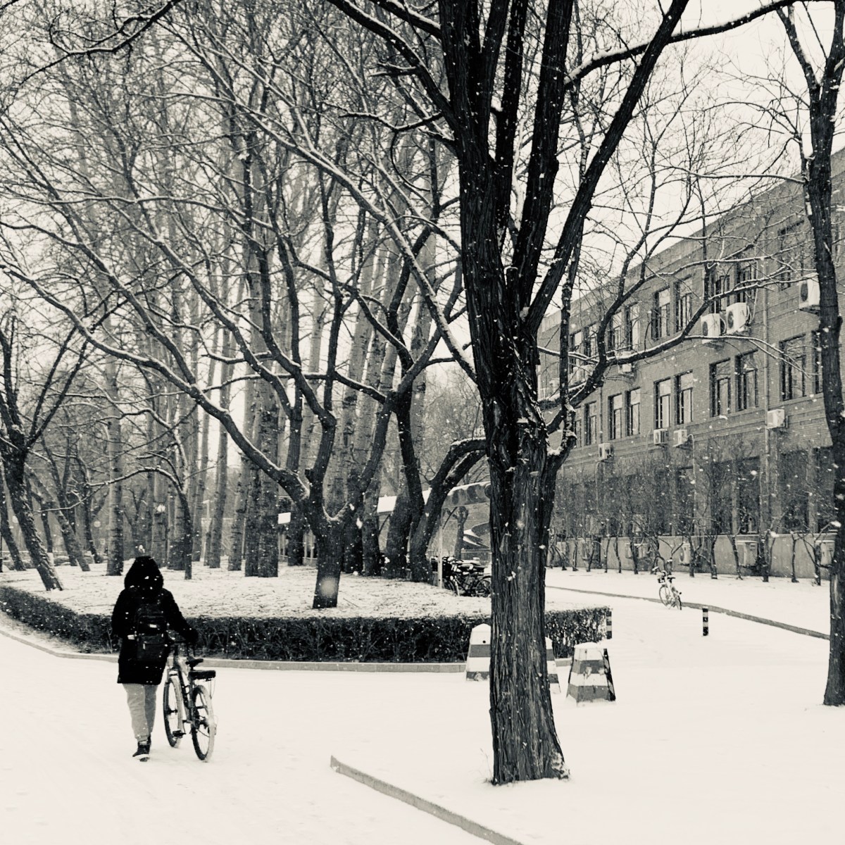 How to meet your&nbsp;advisor?